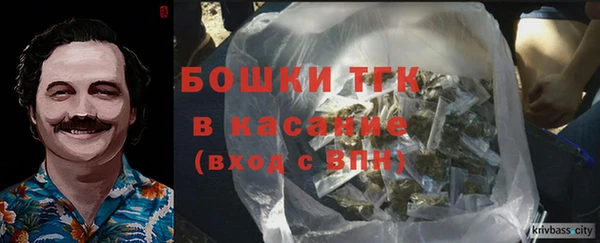 хмурый Горняк