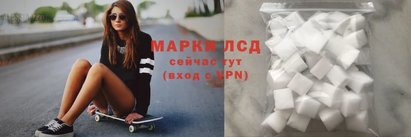 СК Горнозаводск