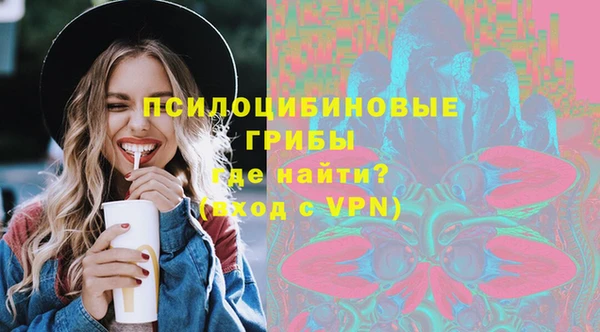СК Горнозаводск