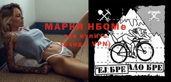 хмурый Горняк