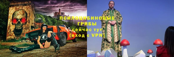 СК Горнозаводск